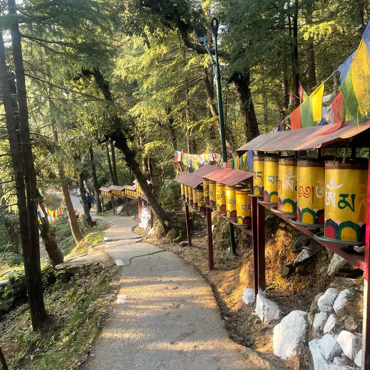 Dharamshala Exploration